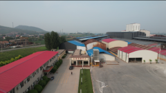 决定阐扬两地财产集